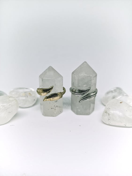 Wrap Double Feather Ring
