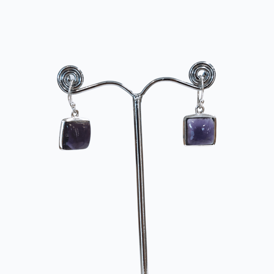 Zardie Amethyst Earrings