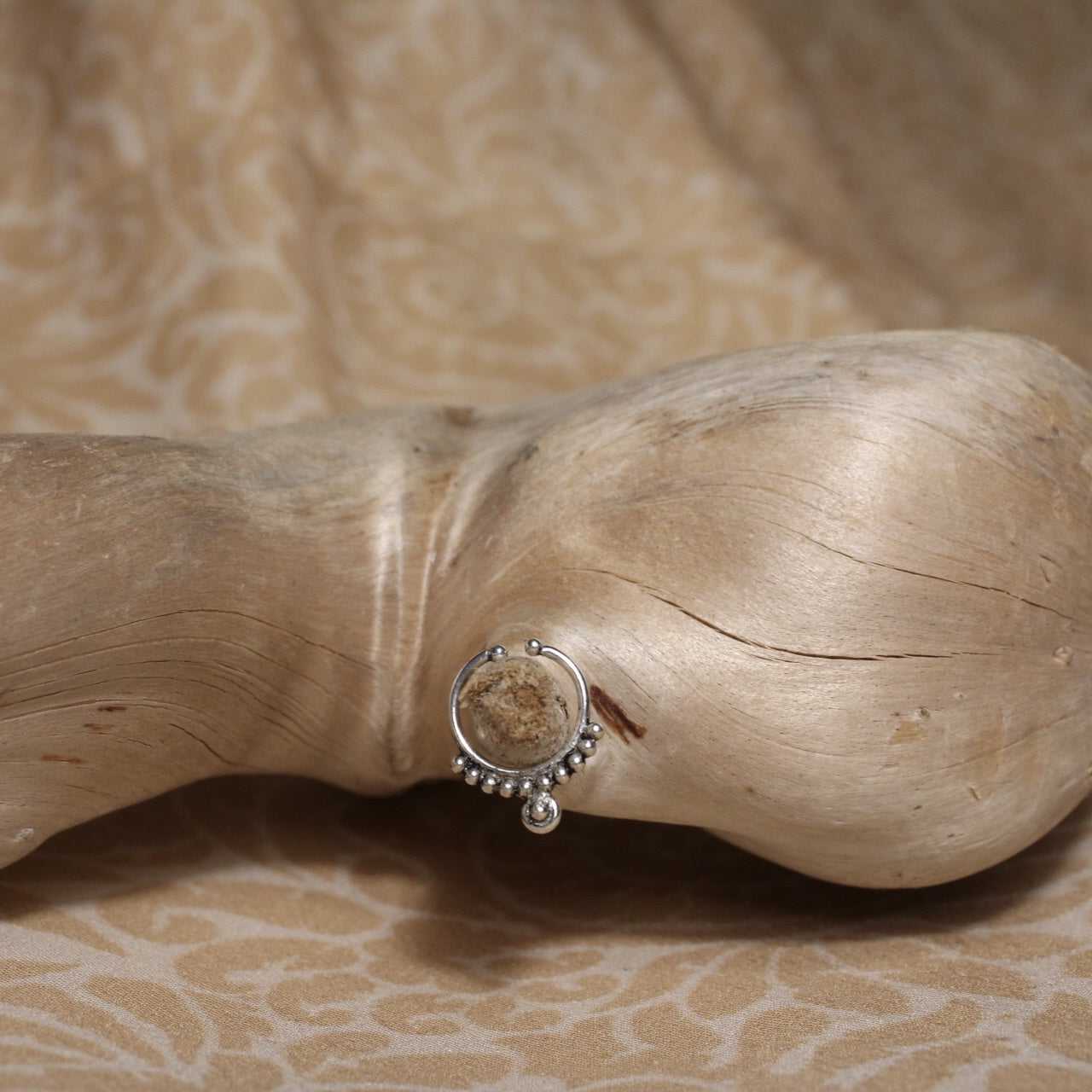 Septum Soral