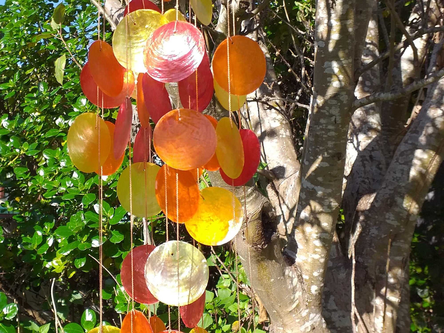 Capiz Shell Windchime