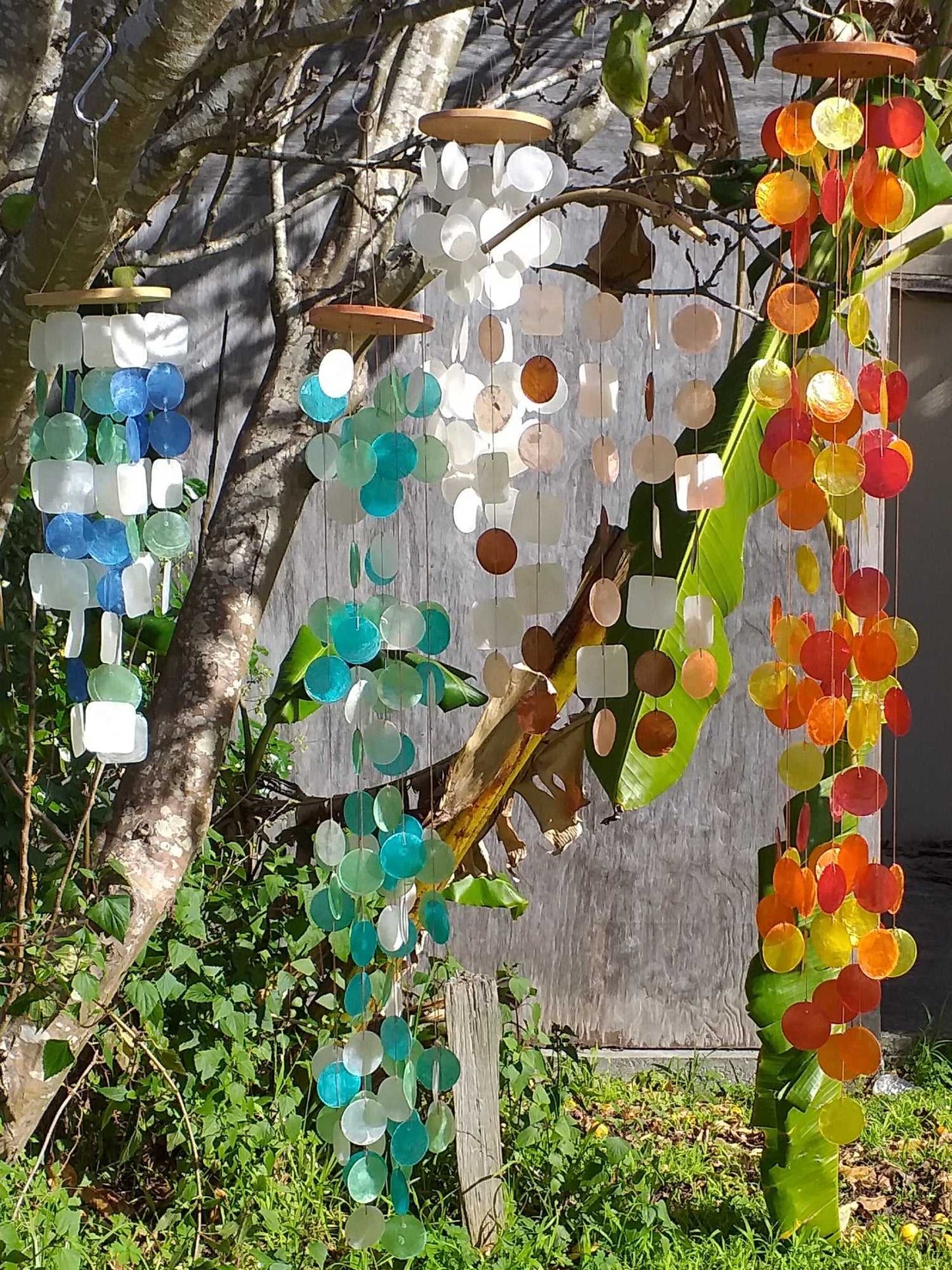 Capiz Shell Windchime