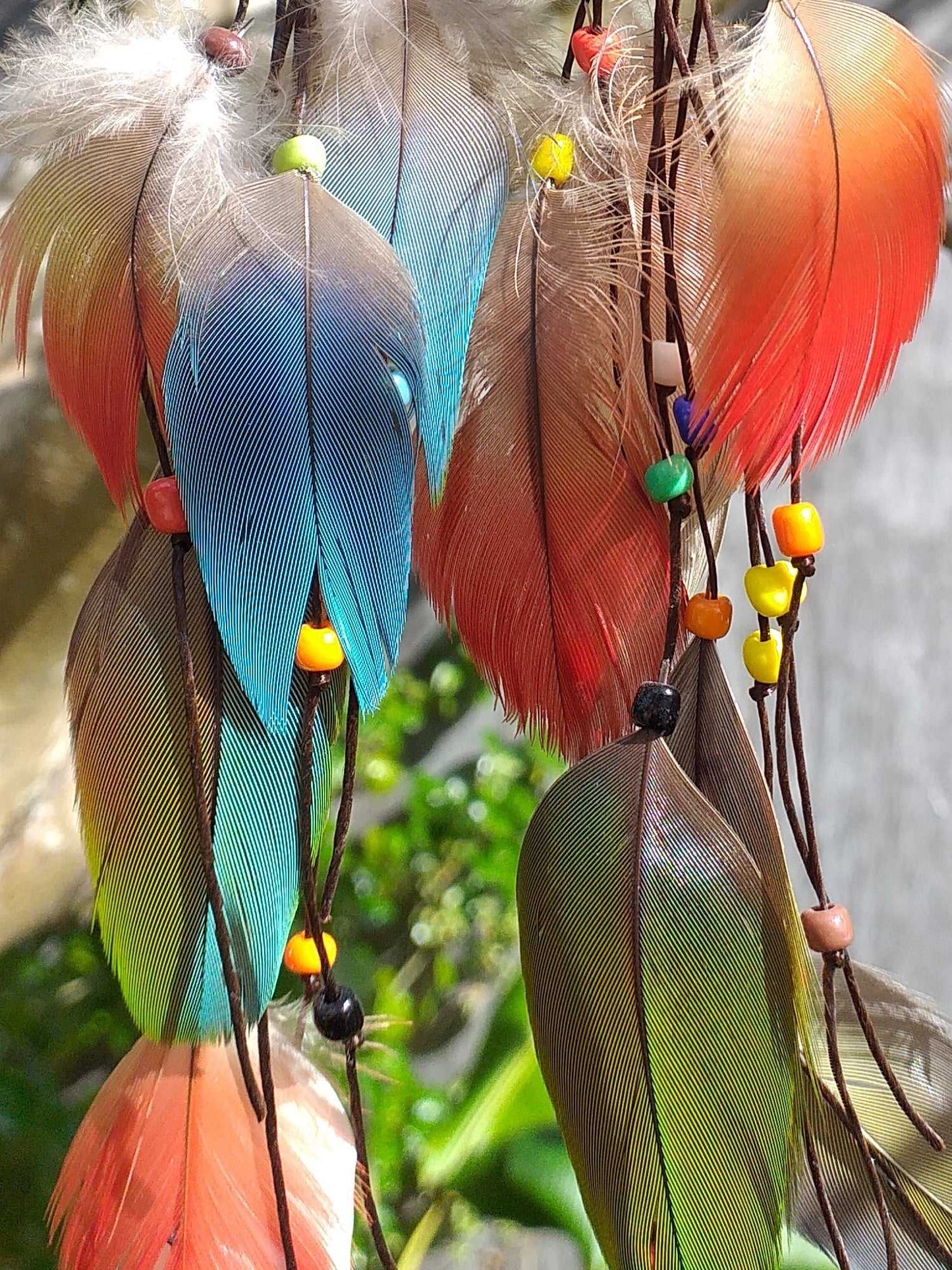 Peacock n Feather Earrings