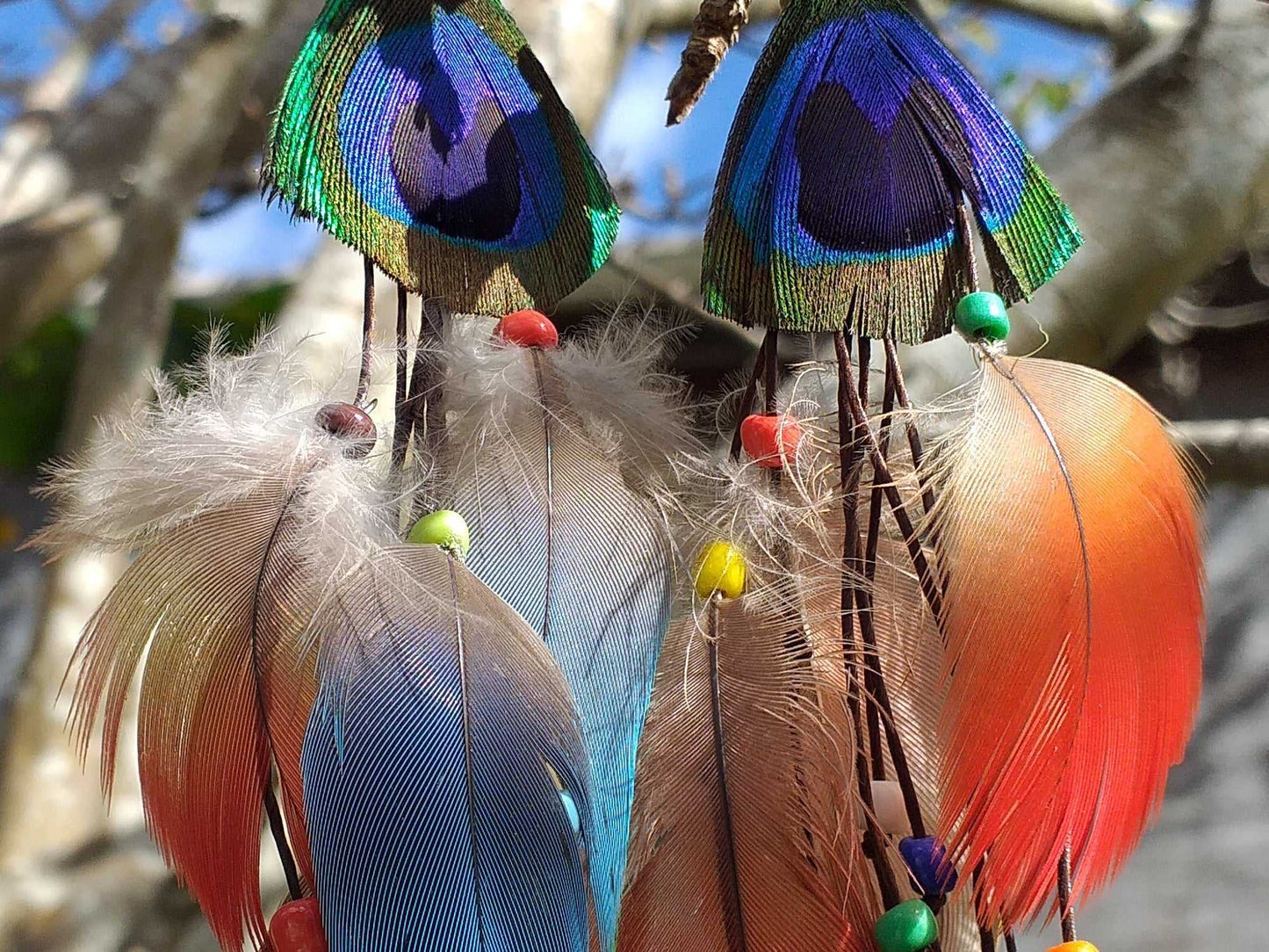 Peacock n Feather Earrings