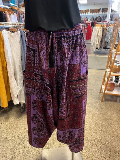 Sajani Aladdin Pants