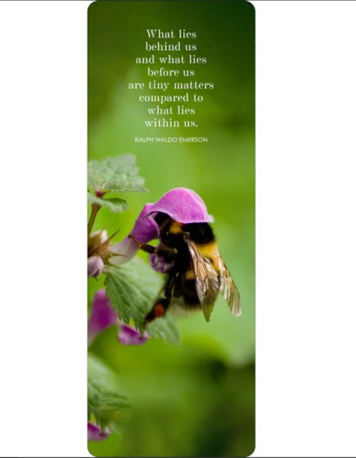 Bee BookMark 2