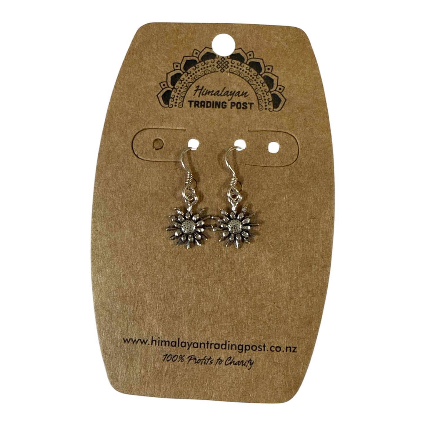 Sterling Silver Earrings Sml