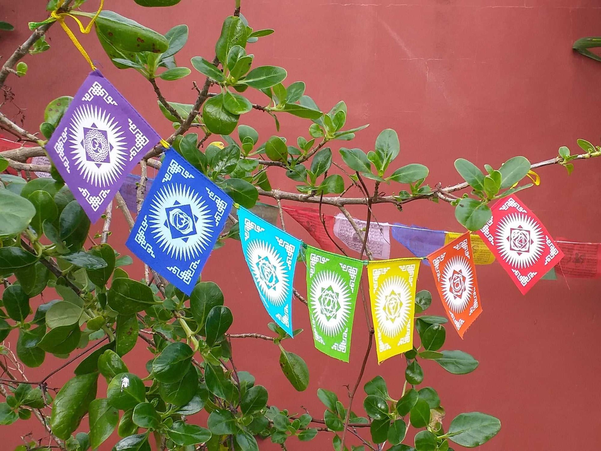 7 Chakra Flags