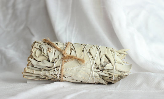 White Sage Smudge 5-6 inch