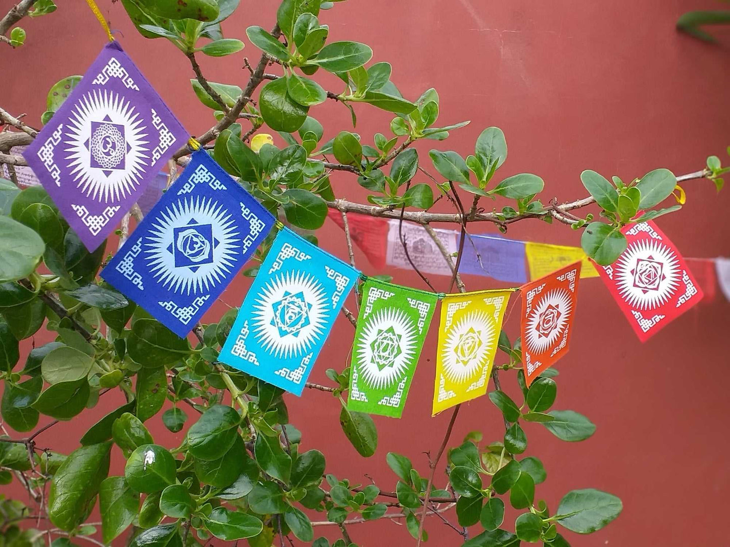 7 Chakra Flags