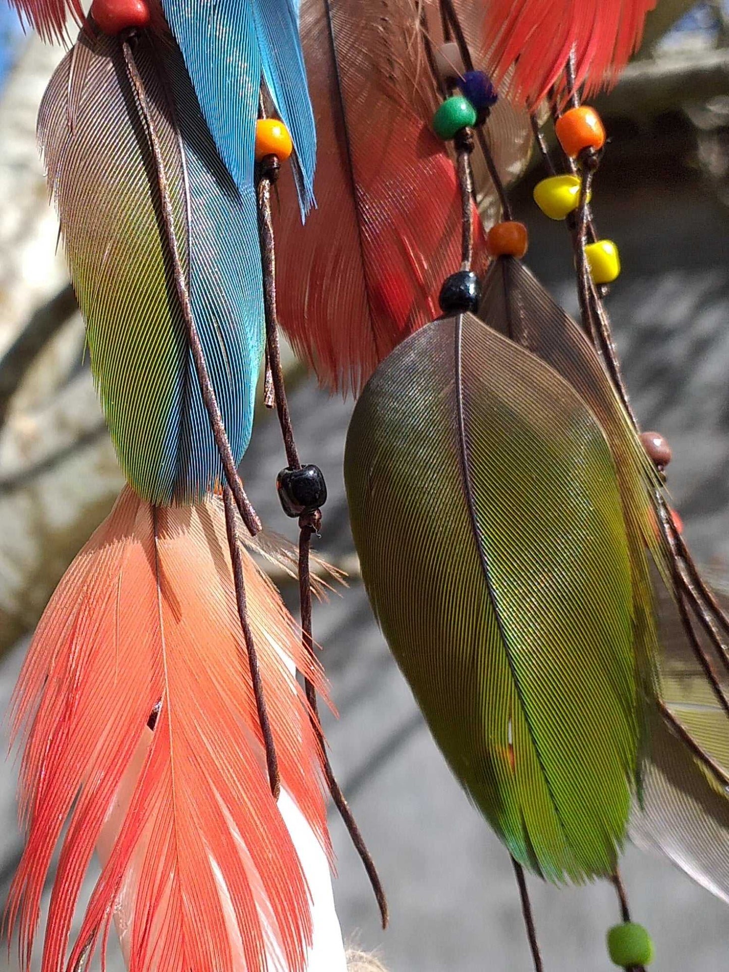 Peacock n Feather Earrings